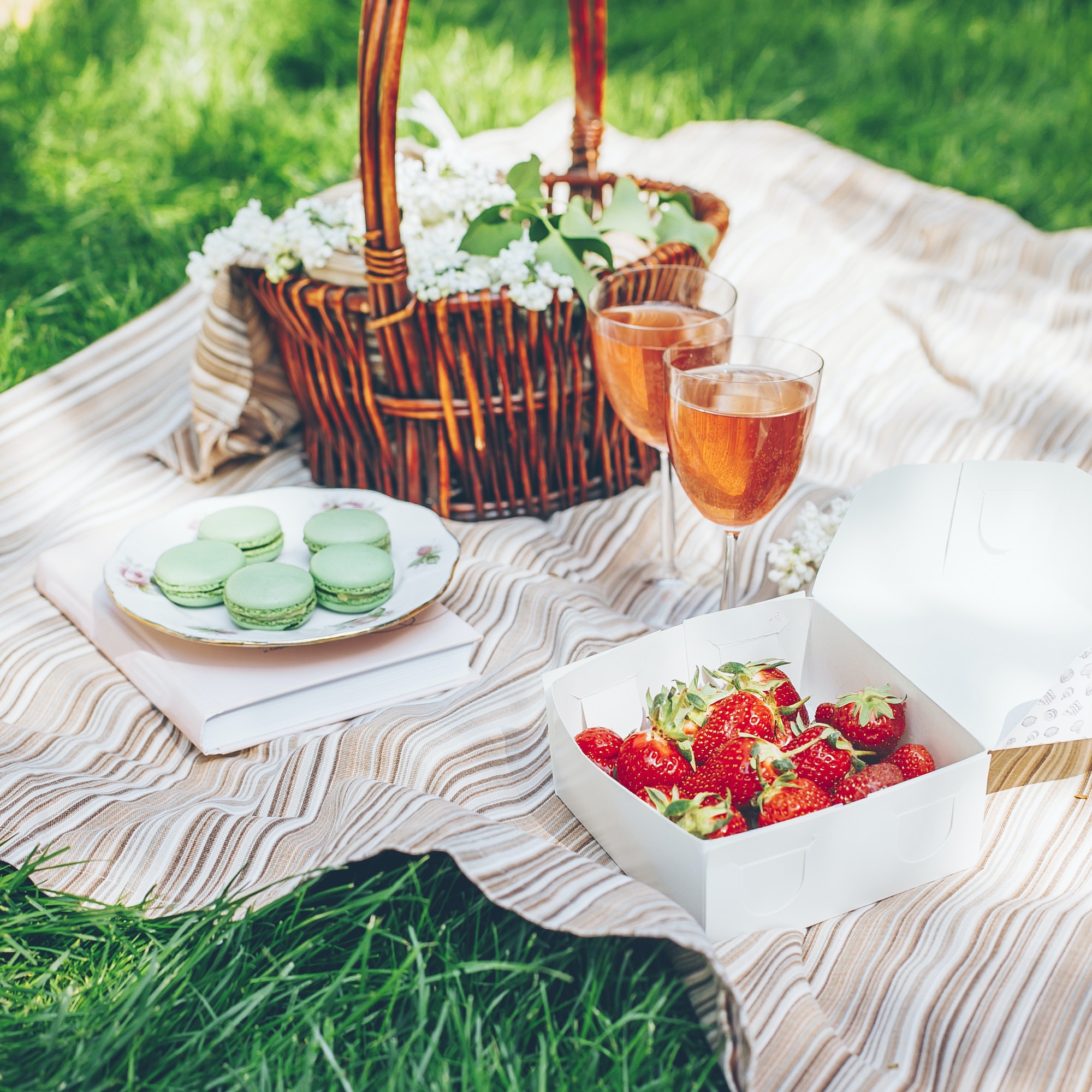 Picnic outdoor with tasty food and wine. Weekend activities, romantic surprise cozy concept